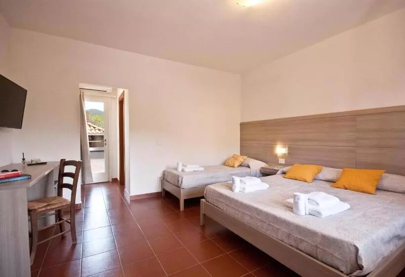 B&b La Casa Degli Ulivi