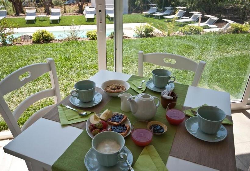 B&b La Casa Degli Ulivi