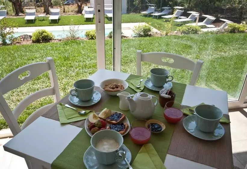 B&b La Casa Degli Ulivi
