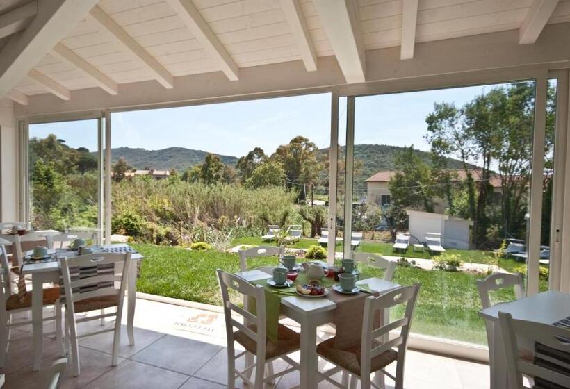 B&b La Casa Degli Ulivi