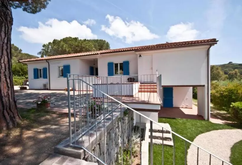 B&b La Casa Degli Ulivi