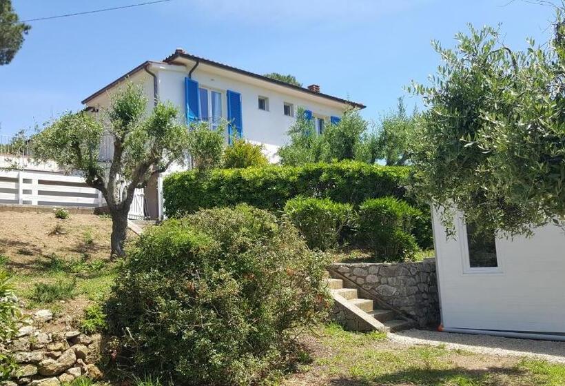 B&b La Casa Degli Ulivi