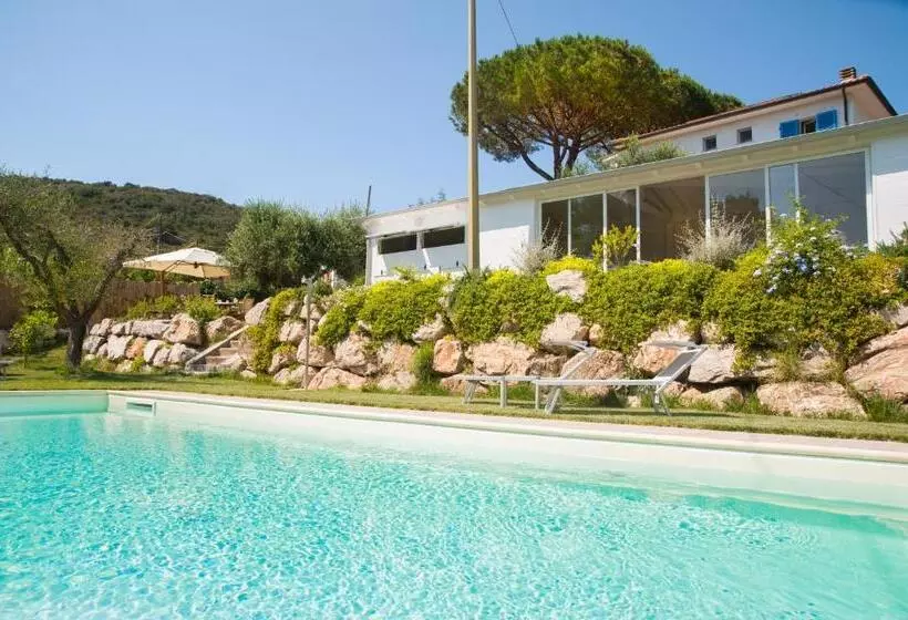 B&b La Casa Degli Ulivi