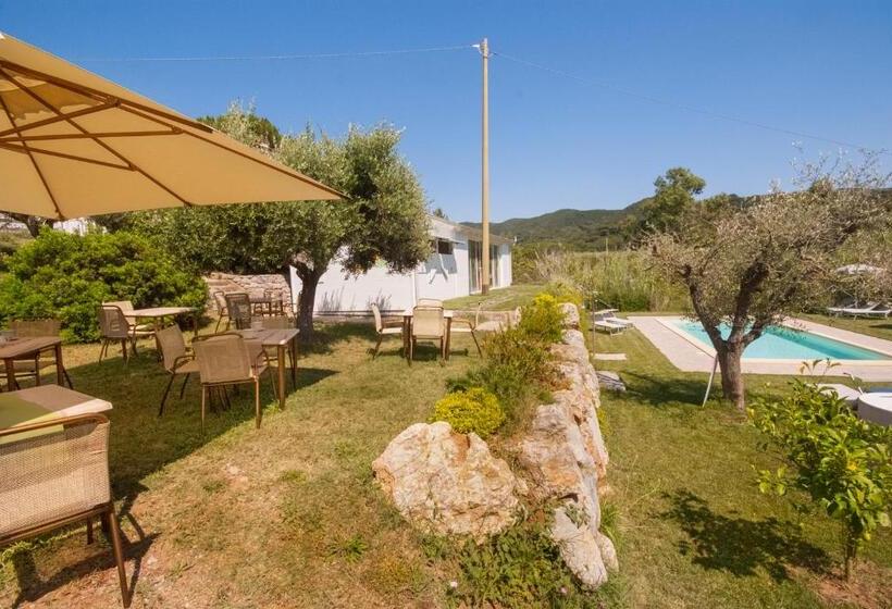 B&b La Casa Degli Ulivi