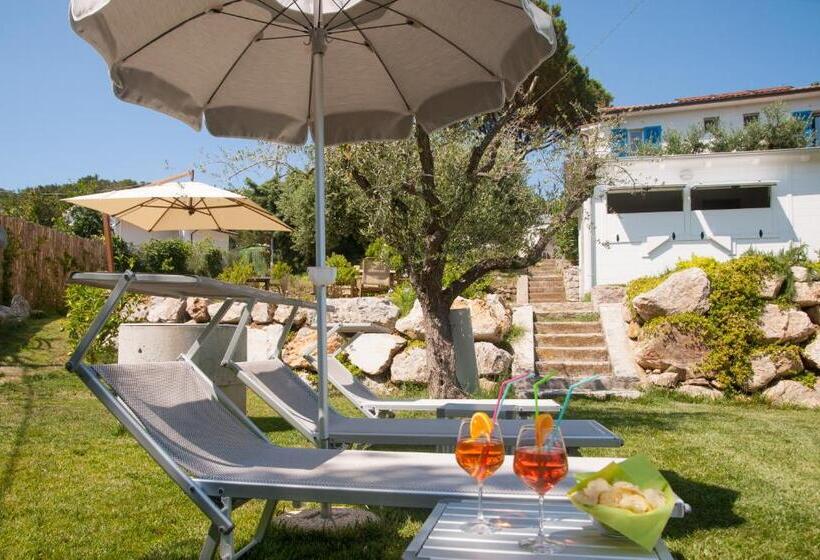 B&b La Casa Degli Ulivi