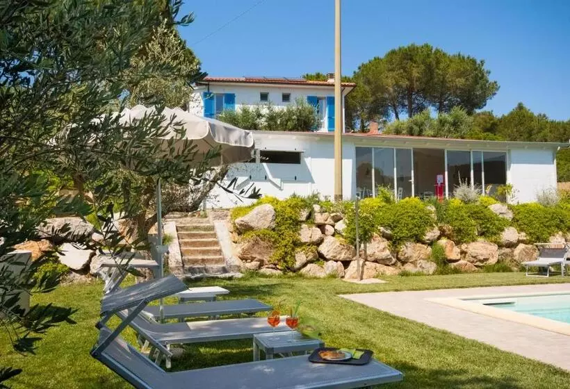 B&b La Casa Degli Ulivi