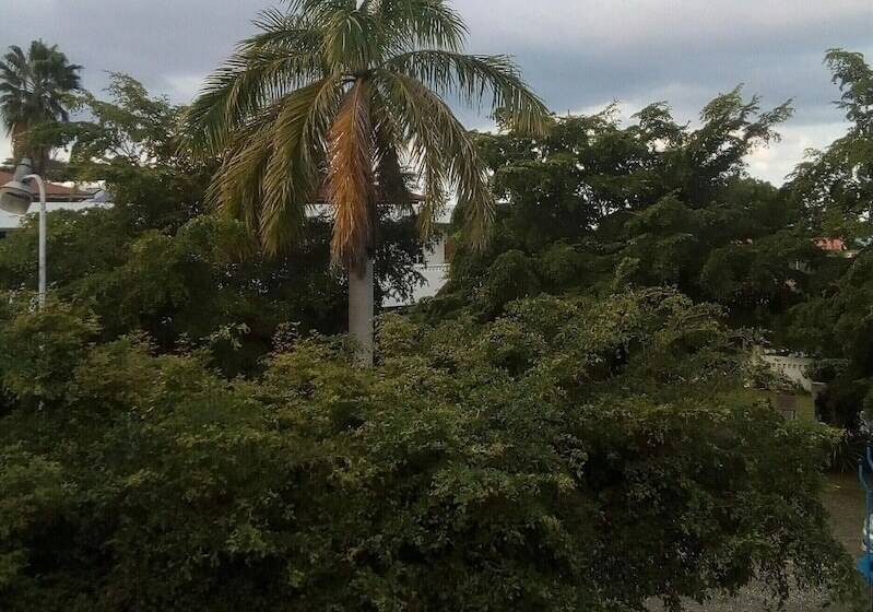 تختخواب و صبحانه Sea Shell Palms, Ocho Rios