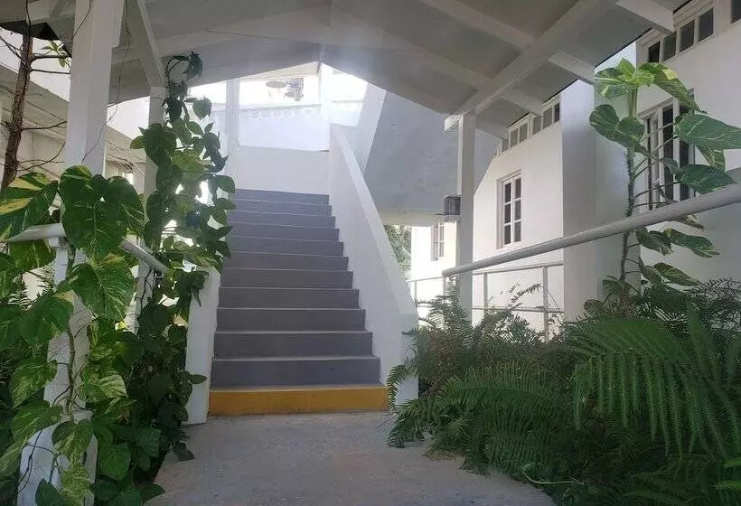 تختخواب و صبحانه Sea Shell Palms, Ocho Rios