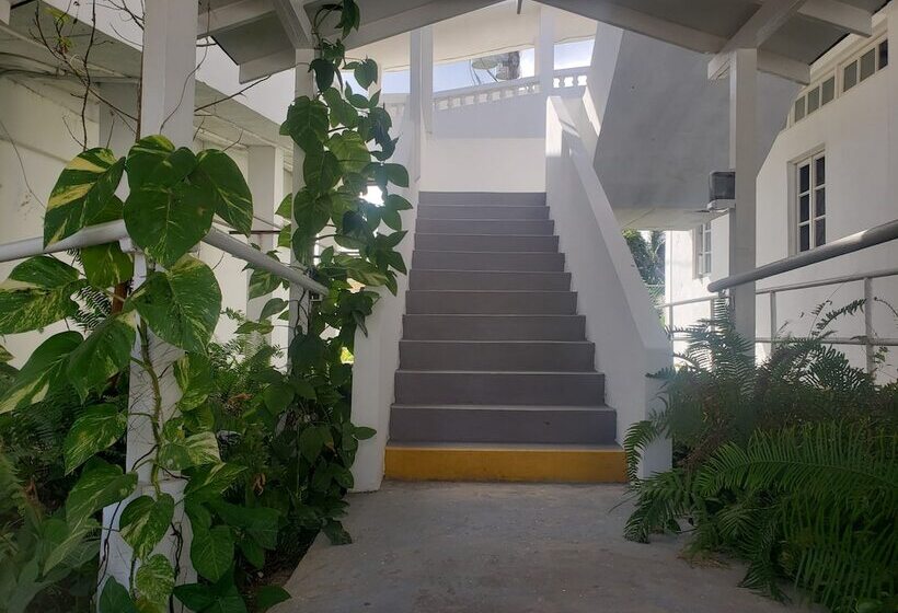 تختخواب و صبحانه Sea Shell Palms, Ocho Rios