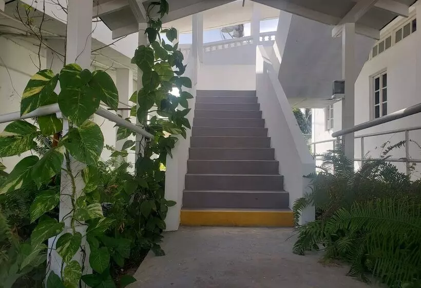 تختخواب و صبحانه Sea Shell Palms, Ocho Rios