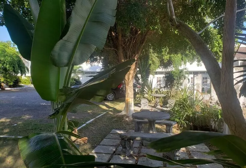 تختخواب و صبحانه Sea Shell Palms, Ocho Rios