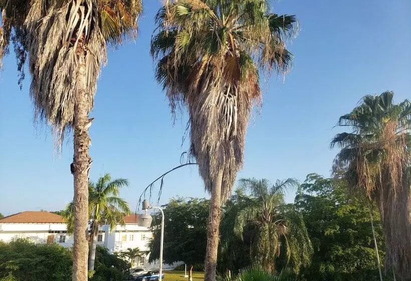 تختخواب و صبحانه Sea Shell Palms, Ocho Rios