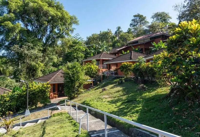 Hotelli Bongo   Adults Only