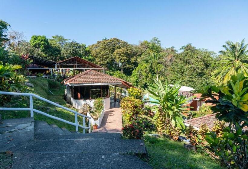 هتل Bongo Adults Only