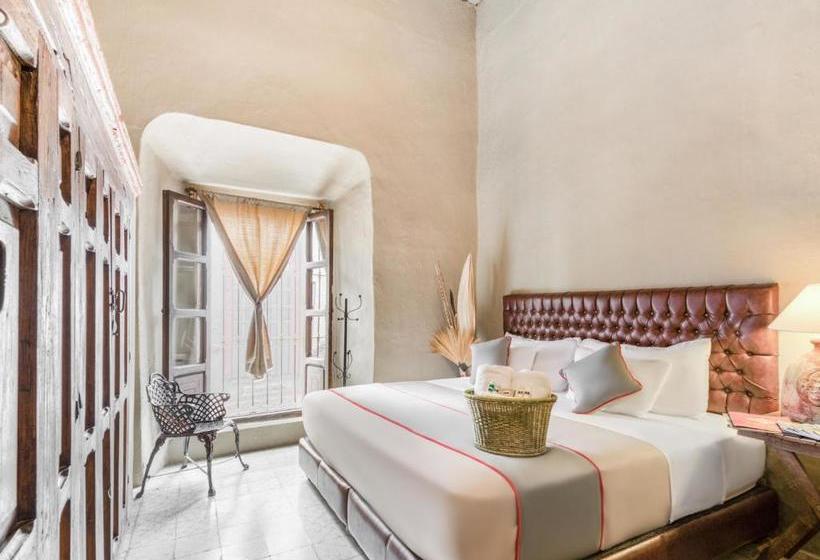 پانسیون Collection O 1531