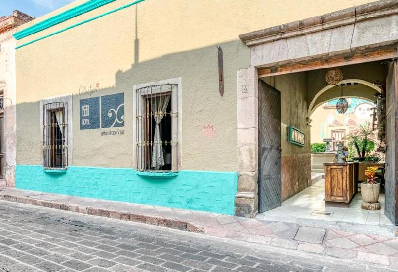 پانسیون Collection O 1531