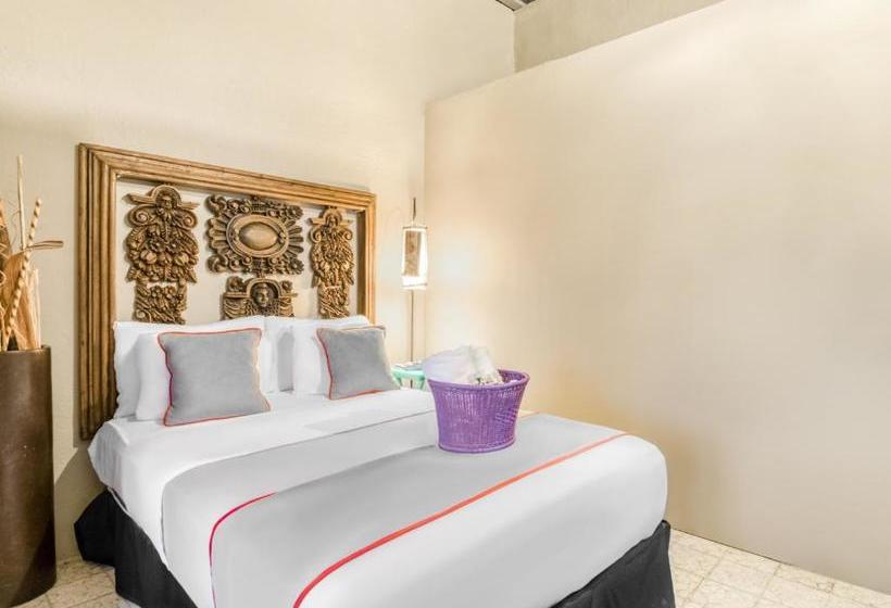 پانسیون Collection O 1531