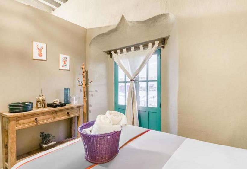 پانسیون Collection O 1531