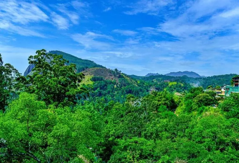 ペンション Third Eye Ella