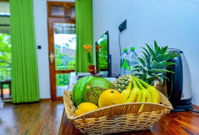 Pensionat Third Eye Ella