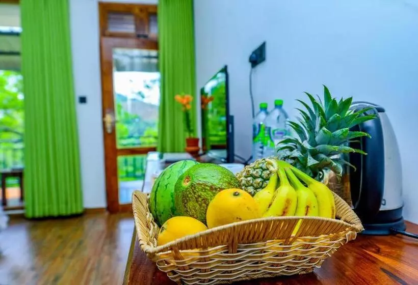 ペンション Third Eye Ella