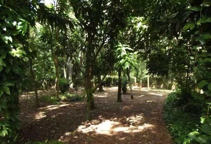 ペンション Pousada Golden Cataratas