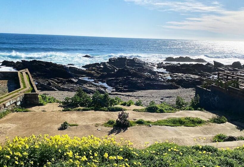 هاستل Hostal Dolegant Pichilemu