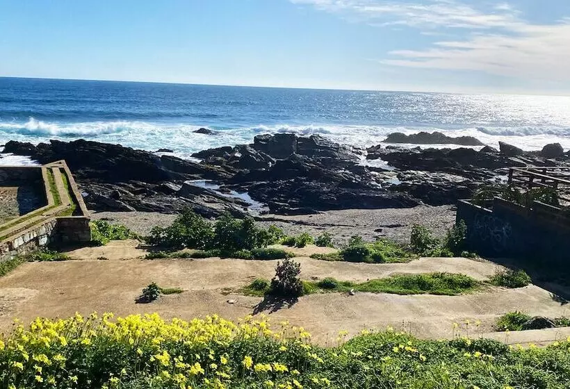 هاستل Hostal Dolegant Pichilemu