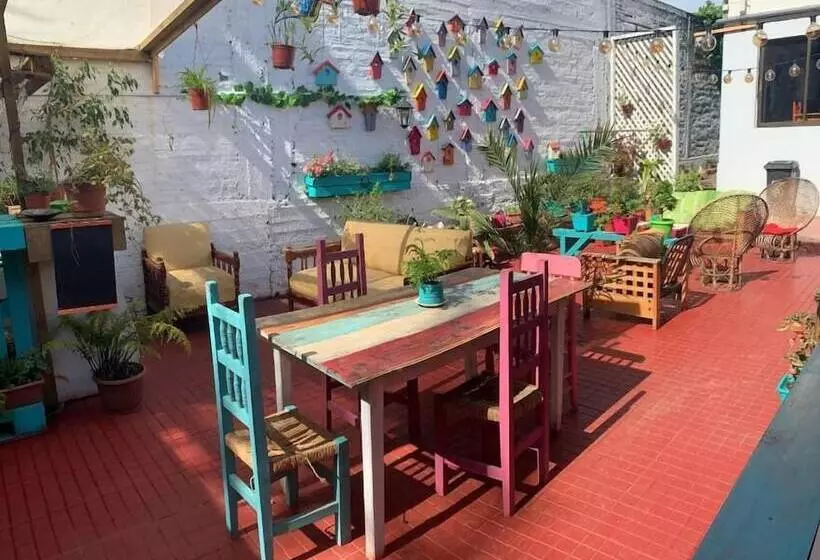 هاستل Hostal Dolegant Pichilemu