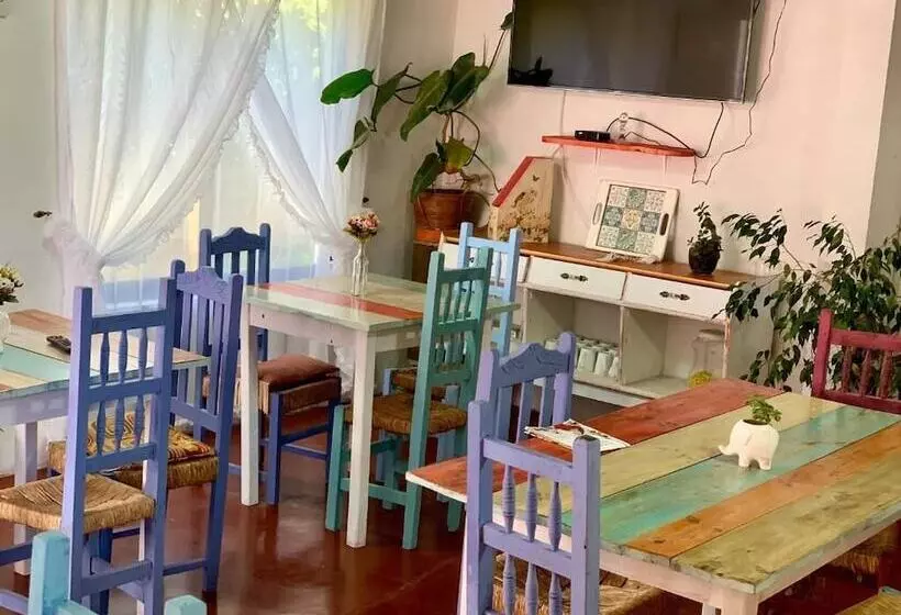 هاستل Hostal Dolegant Pichilemu