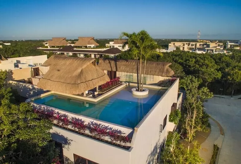 Azul Tulum By Guru