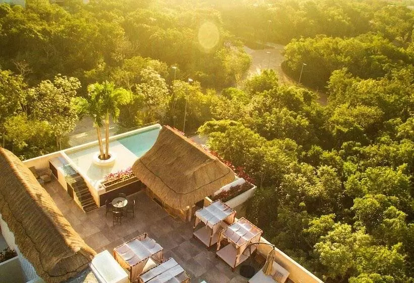 Azul Tulum By Guru