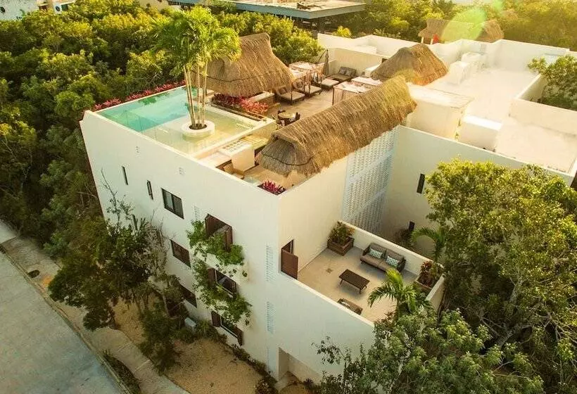 Azul Tulum By Guru