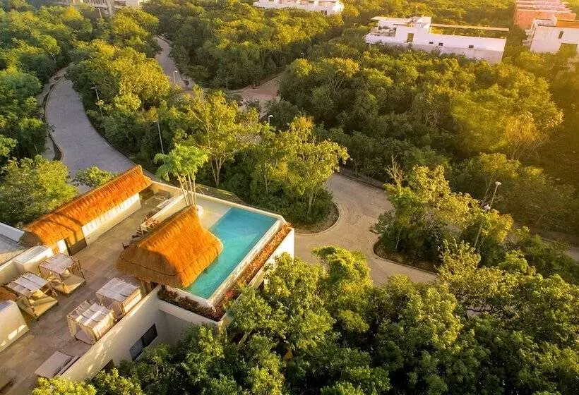 Azul Tulum By Guru