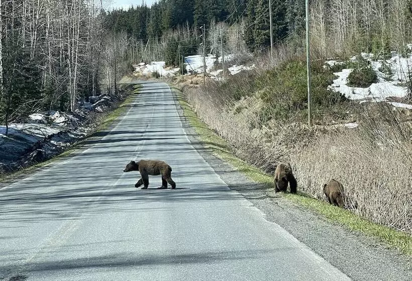 Historic Hotel Bayview