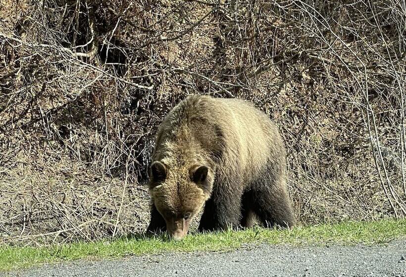 Historic Hotel Bayview