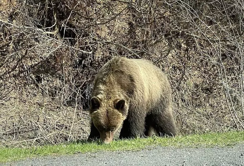 Historic Hotel Bayview