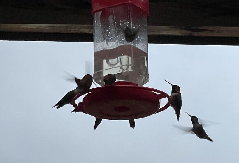 Historic Hotel Bayview