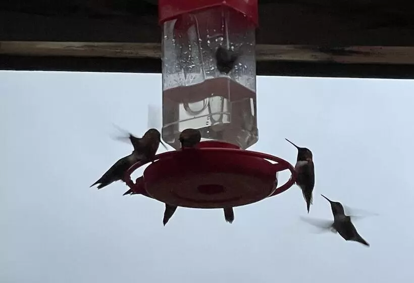 Historic Hotel Bayview