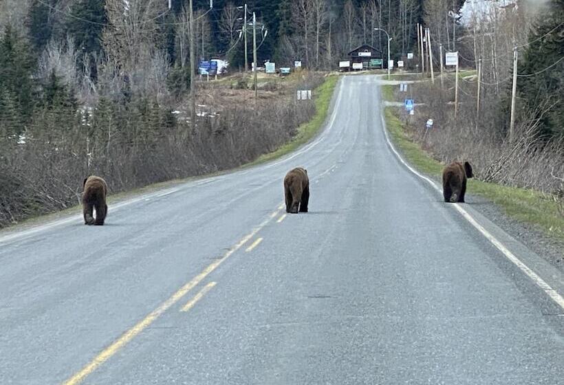 Historic Hotel Bayview