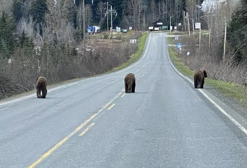 Historic Hotel Bayview