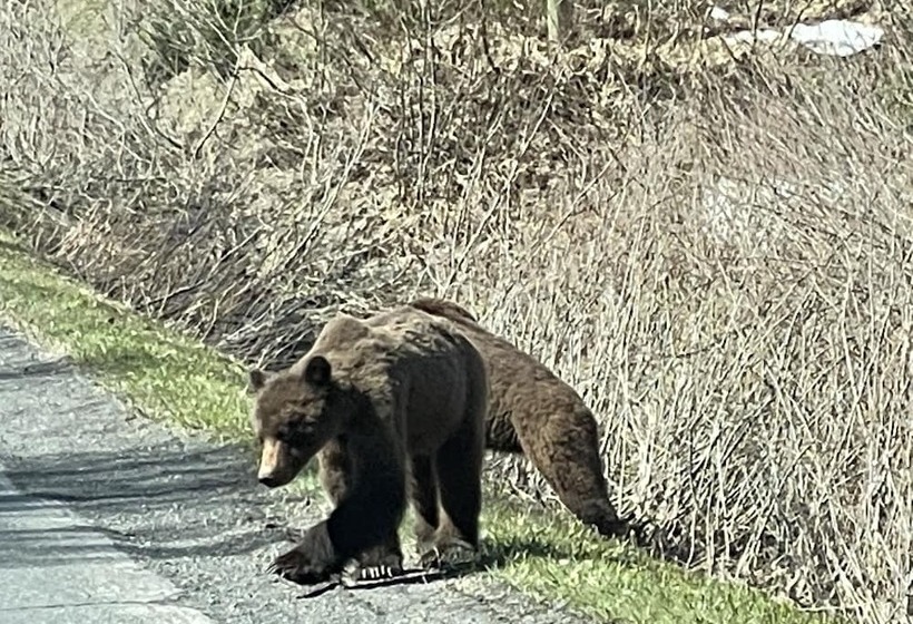 Historic Hotel Bayview