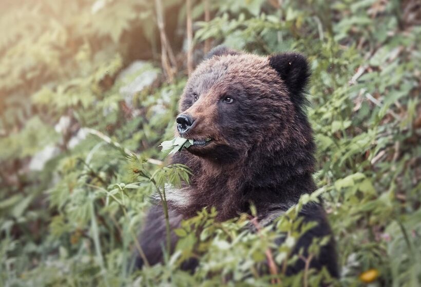 Historic Hotel Bayview