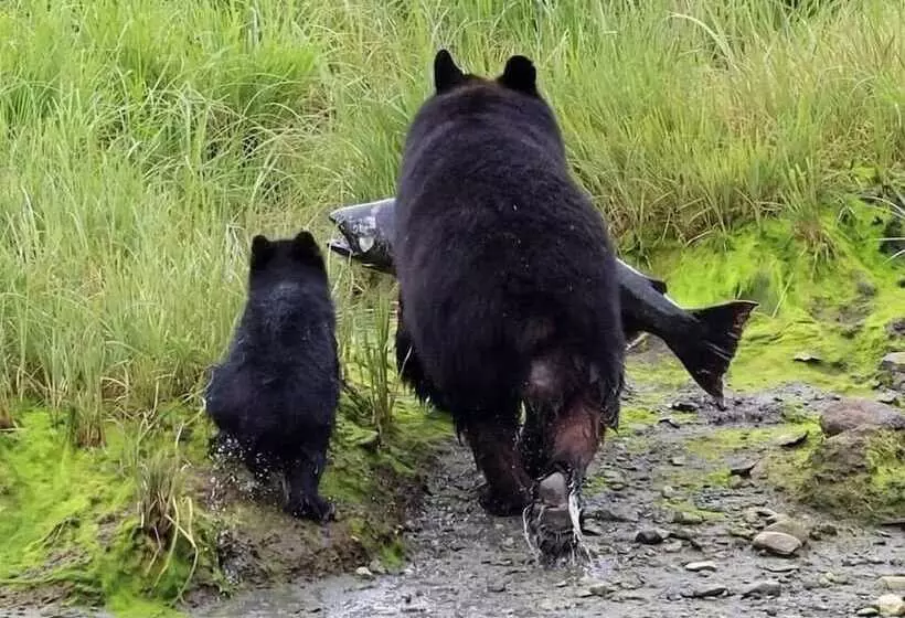 Historic Hotel Bayview