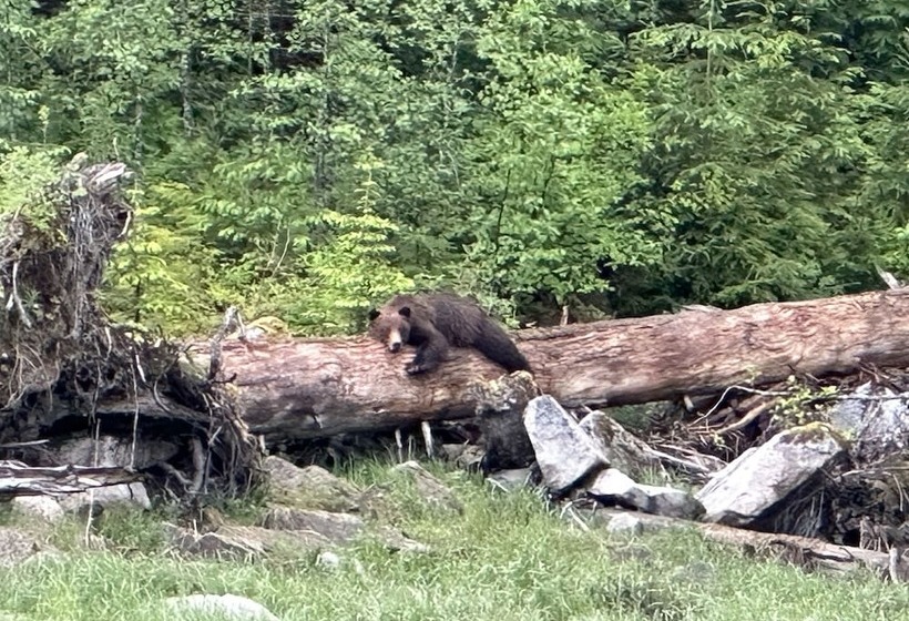 Historic Hotel Bayview