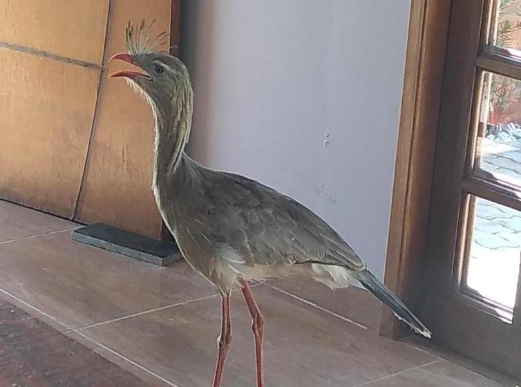 Пансион Pousada Morada Do Sol