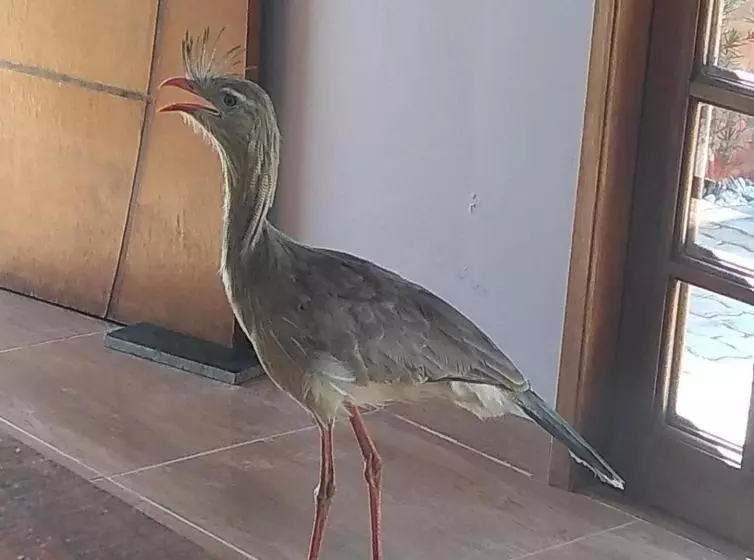 ペンション Pousada Morada Do Sol