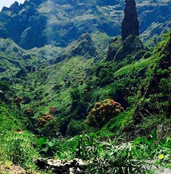 تختخواب و صبحانه Casa Xoxo