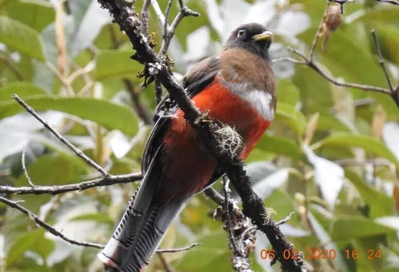 Aamiaismajoitus (B&B) Miriam S Quetzals Lodge