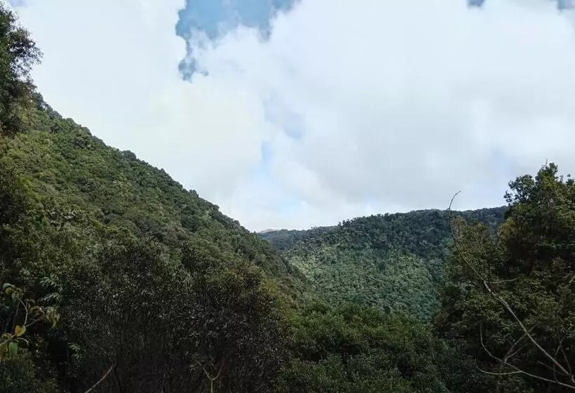 Aamiaismajoitus (B&B) Miriam S Quetzals Lodge